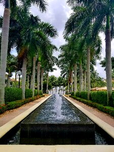 Summer nature garden