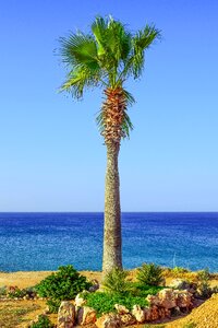 Summer island scenery