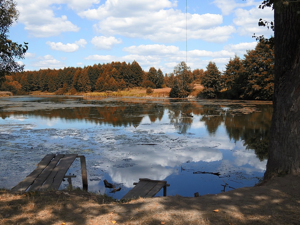 Reflections fall autumn