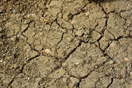 The dry ground cracks in the earth clay