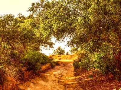 Spring scenery countryside photo