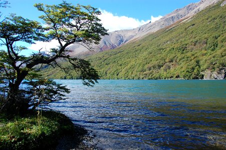 Lake of the desert argentina patagonia lake