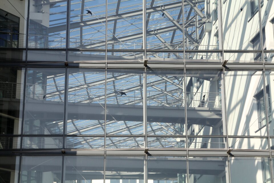 Cologne atrium glass
