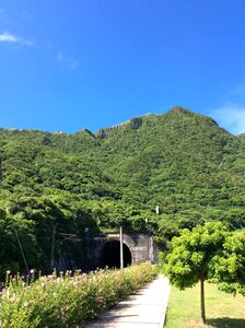 Mountain tunnel trees