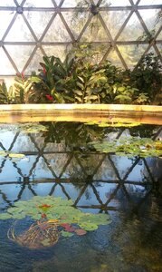 Botany botanical greenhouse