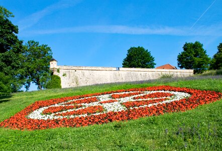 Germany flowers citadel