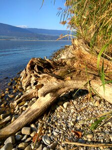 Brine neuchatel switzerland
