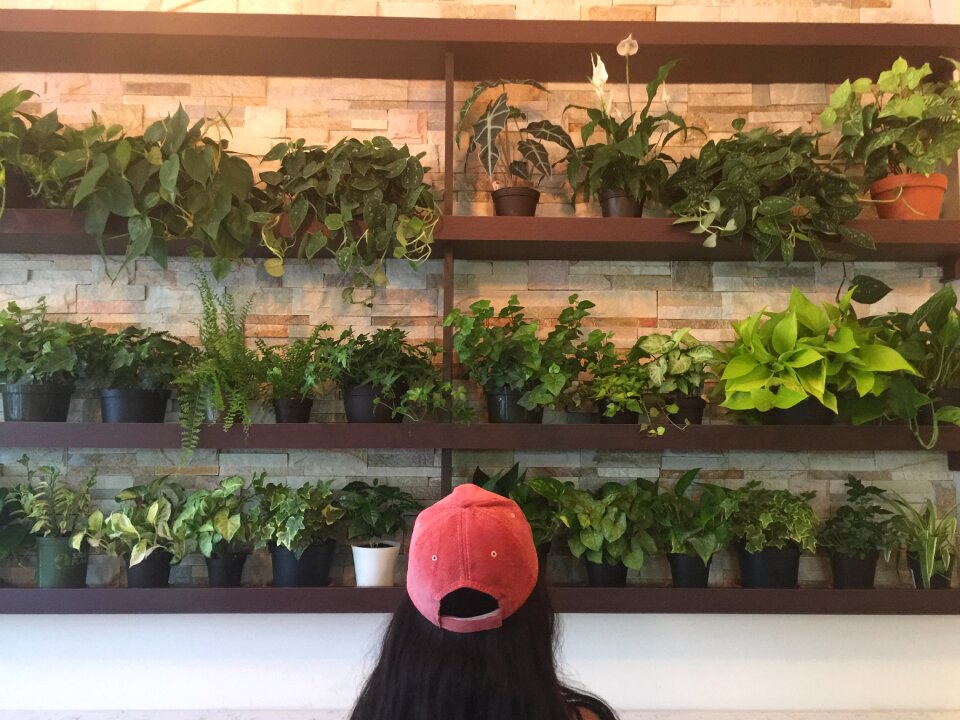Green gardening