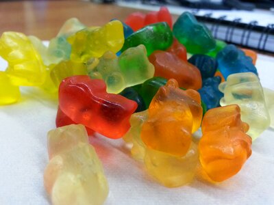 Finni gum teddies