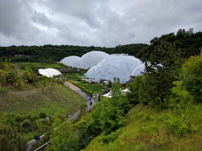 Cornwall project conservation