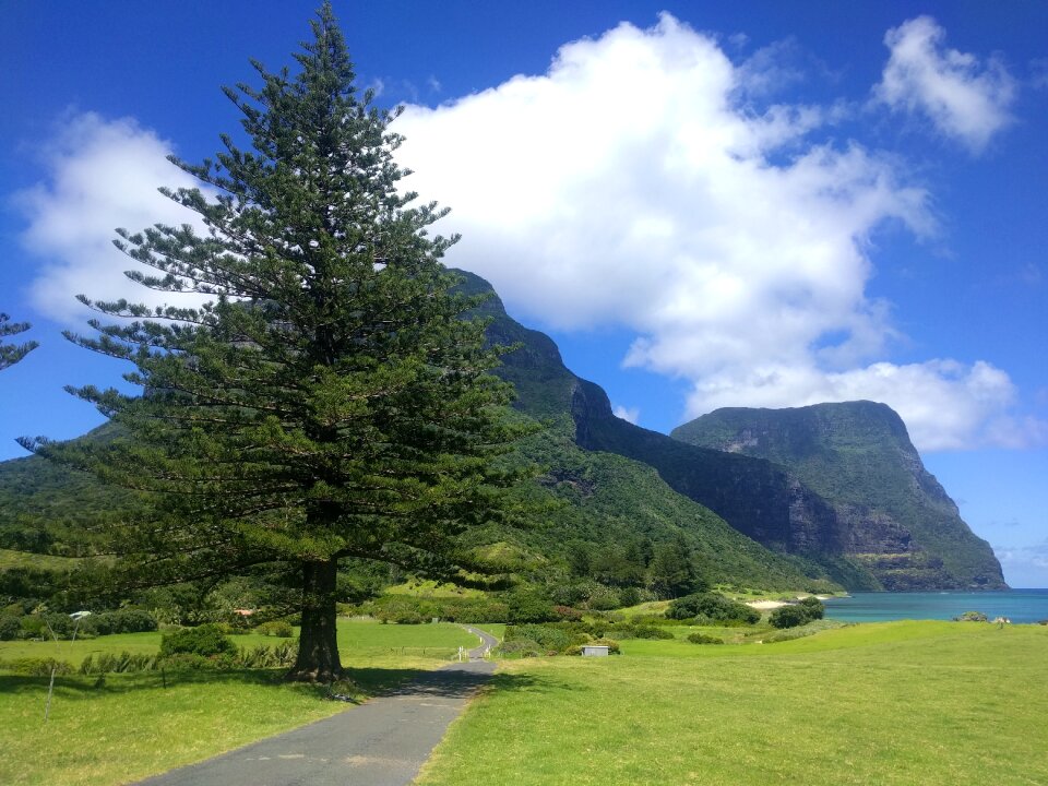 Mountain scenic