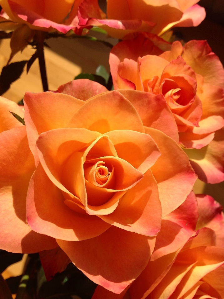 Beautiful love floral