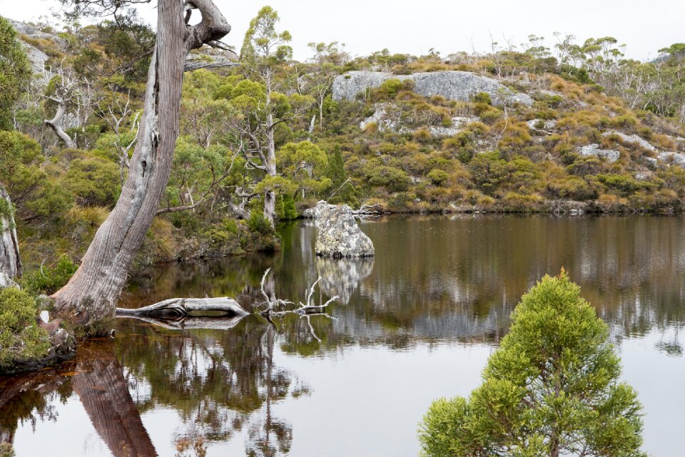 Nature picturesque outdoors