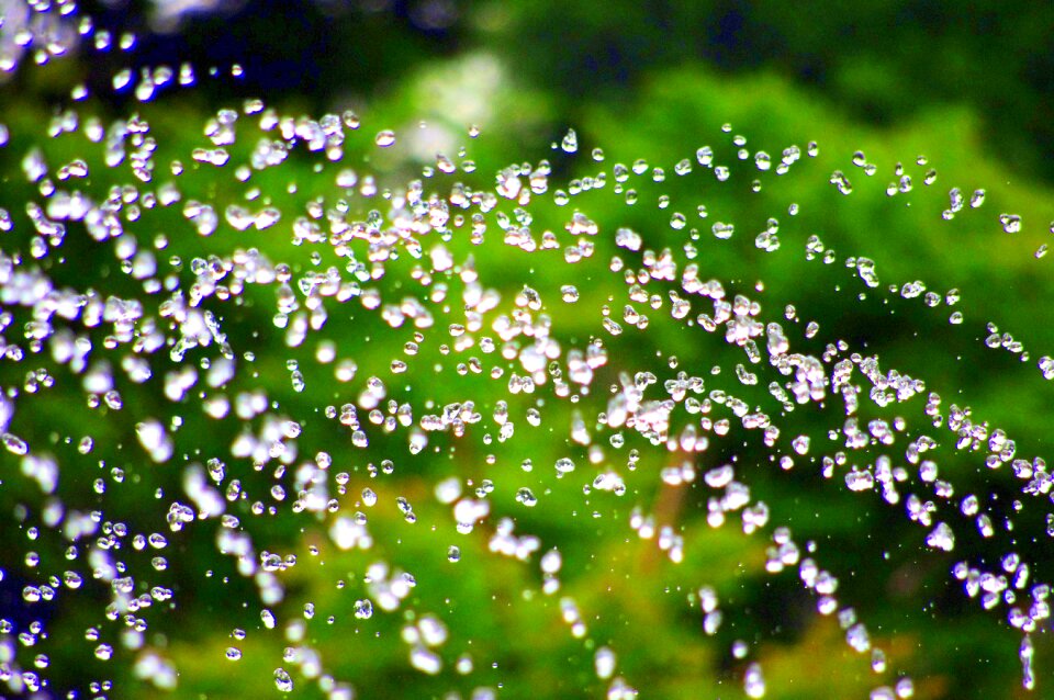 Japan green beautiful
