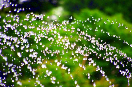 Japan green beautiful