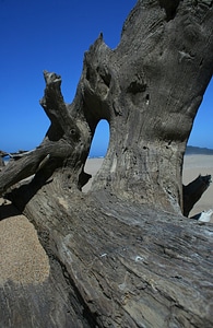 Decayed sand beach