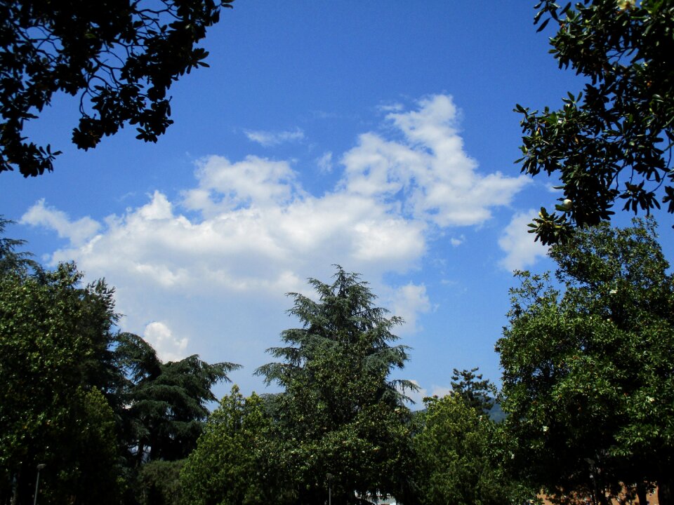 Sky clouds blue