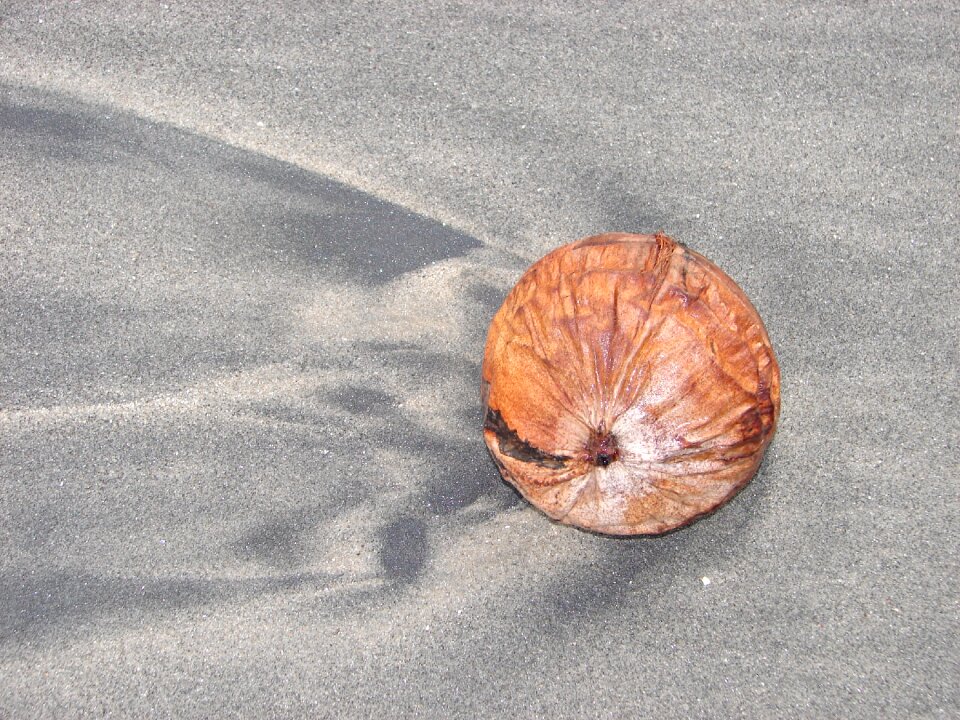 Summer tropical sea