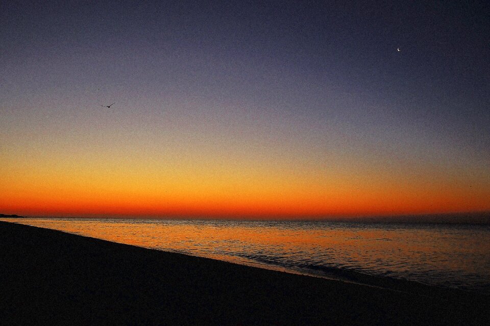 Landscape summer beach