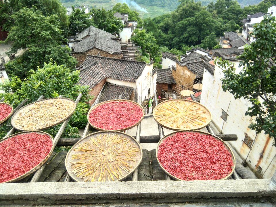 Sun qiu huang ling wuyuan