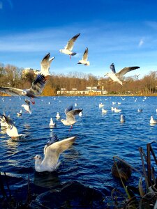Wasser travel