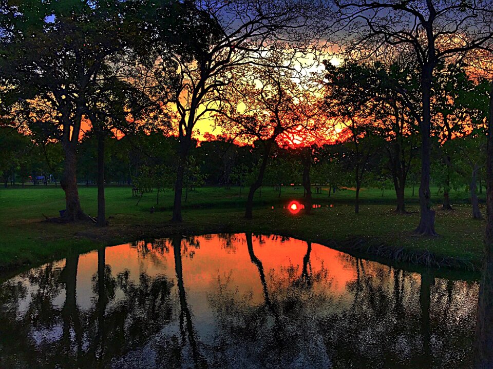 Sunset park my train marsh
