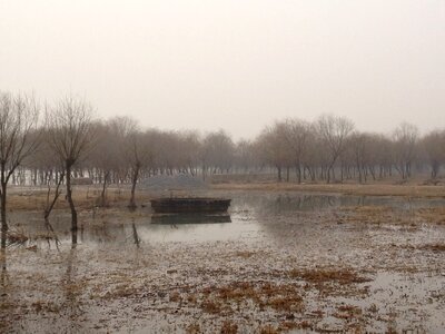 Swamp boat wild