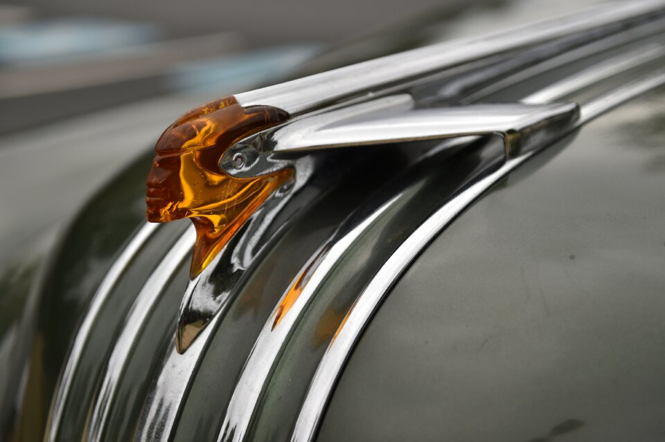 Chrome lightedm rod reilly