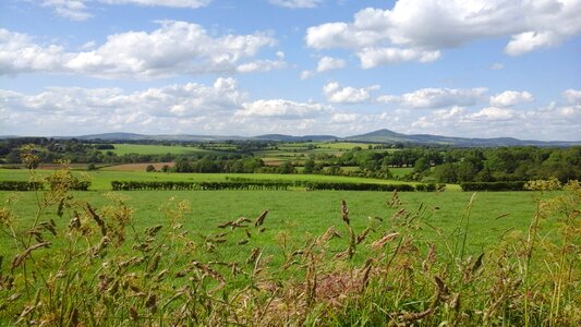 Green landscape countryside