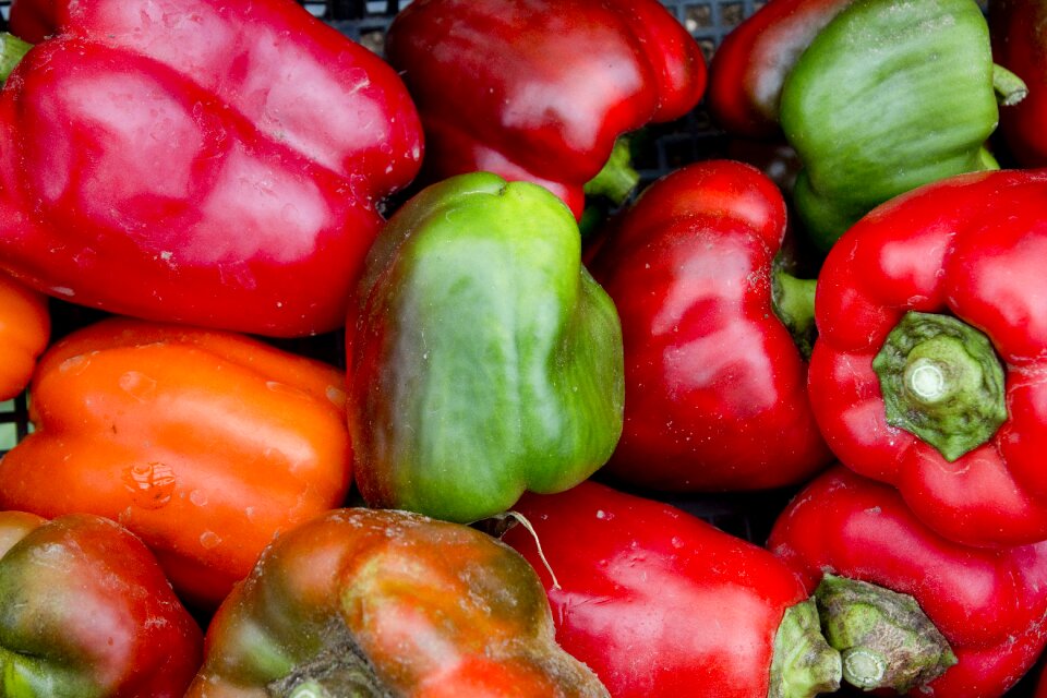 Ingredient green healthy