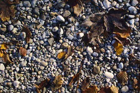 Fall rocks gravel