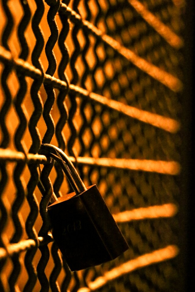 Love locks padlock padlocks