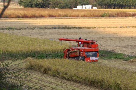Field tractor grain photo