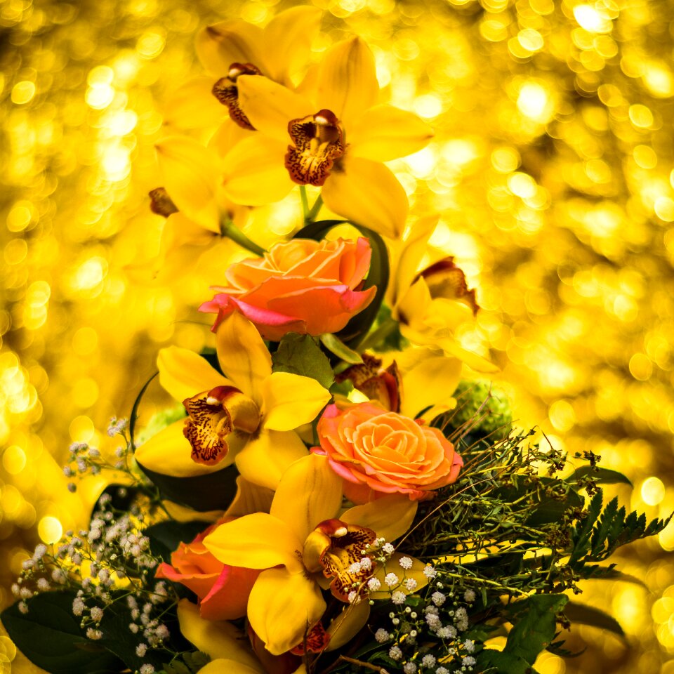 Bouquet of flowers beautiful isolated