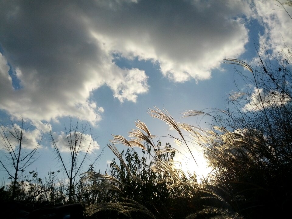 Autumn nature light