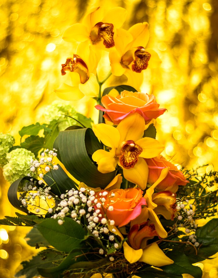 Bouquet of flowers beautiful isolated