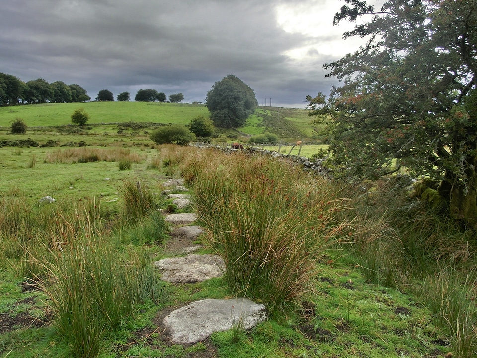 Devon landscape moor