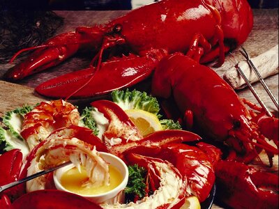 Food langoustine
