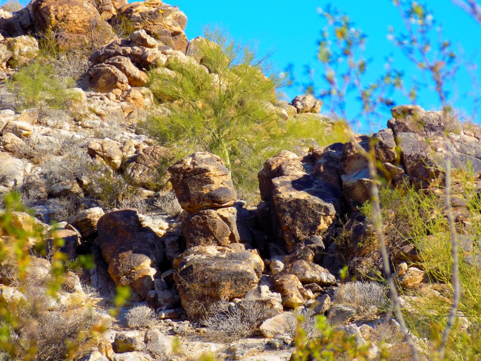Arizona white tank mountain