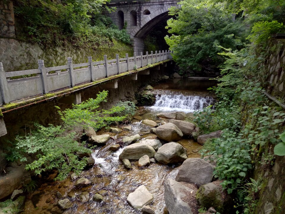 Natural landscape picnic