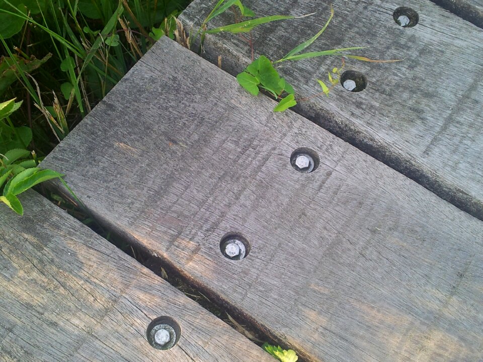 Planks nature