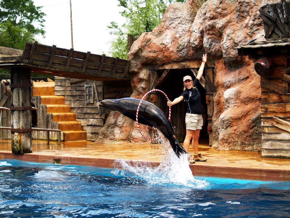 Acrobatics water park zoo