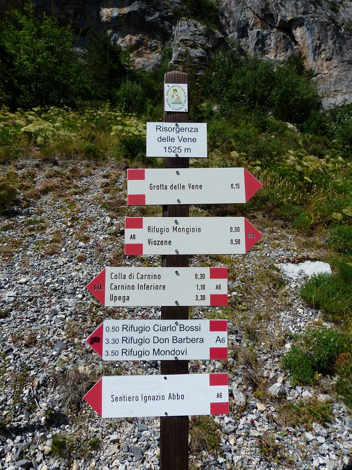 Direction marking shield