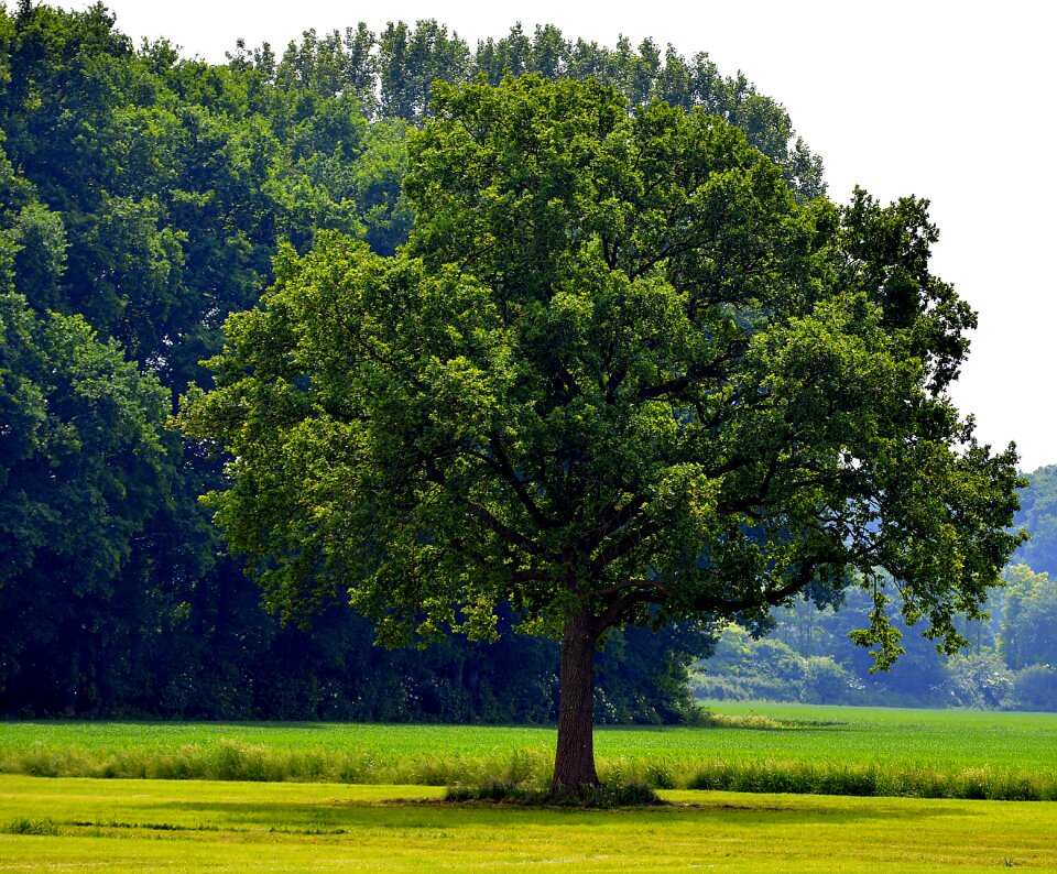 Landscape sky fields