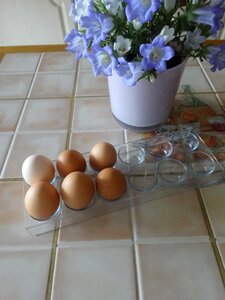 Eggs bellflower table