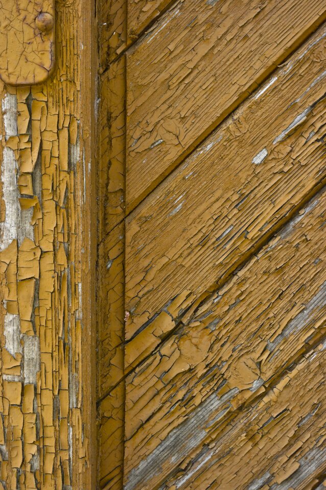 Background surface wood texture