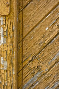 Background surface wood texture