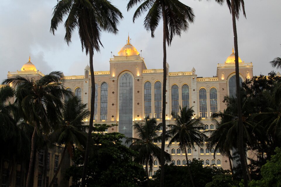 India saifee hospital
