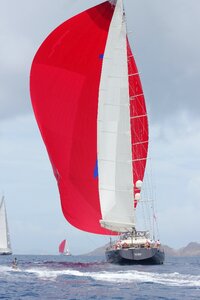 Sailboat boats competition