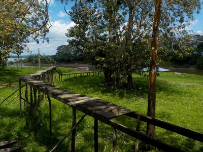 Nariño port landscape trees